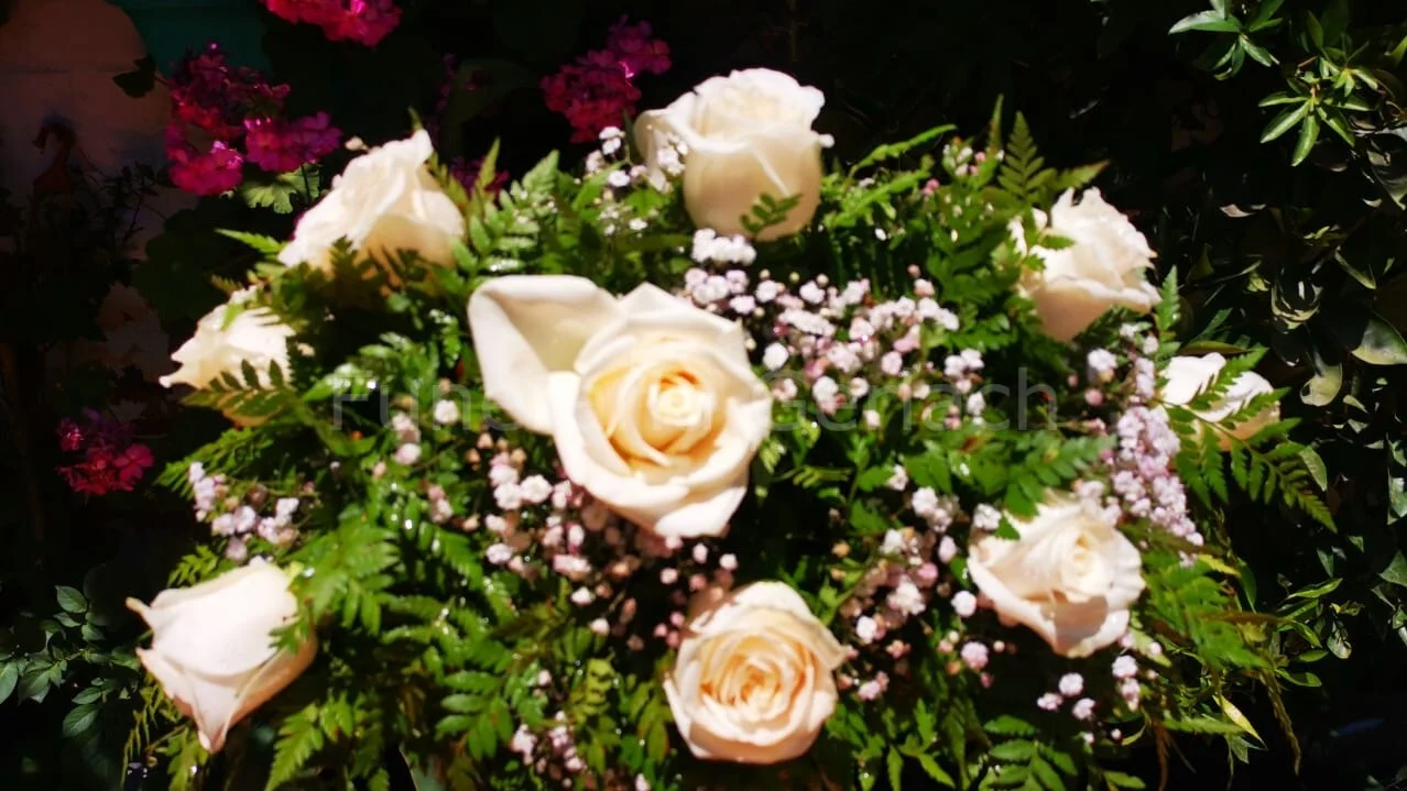 Flores